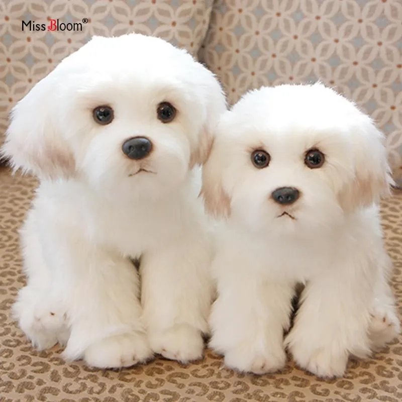 Bichon Frise Puppy Stuffed Animal Dog Plush Toy Cute Simulation Pets Fluffy Baby Dolls Birthday Gifts for Children Dropshipping