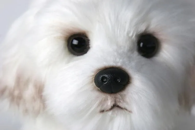 Bichon Frise Puppy Stuffed Animal Dog Plush Toy Cute Simulation Pets Fluffy Baby Dolls Birthday Gifts for Children Dropshipping