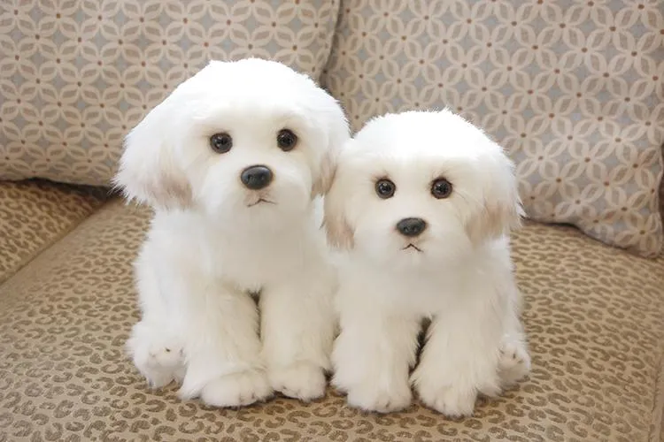 Bichon Frise Puppy Stuffed Animal Dog Plush Toy Cute Simulation Pets Fluffy Baby Dolls Birthday Gifts for Children Dropshipping