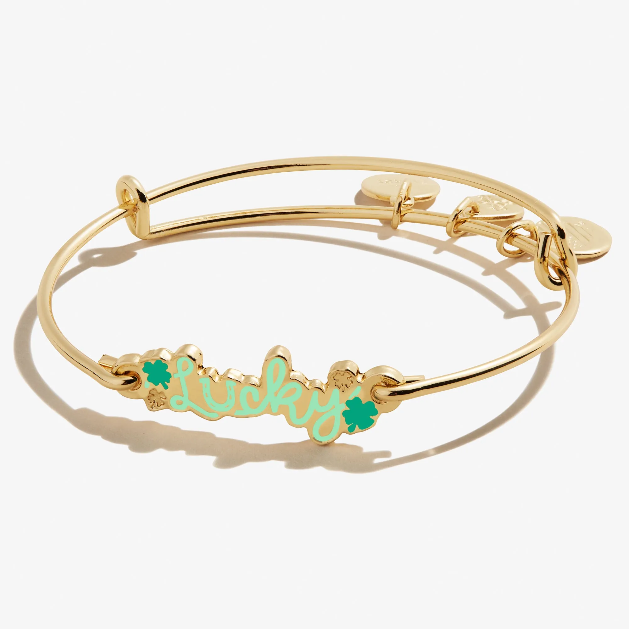 'Lucky' Inline Bangle Bracelet